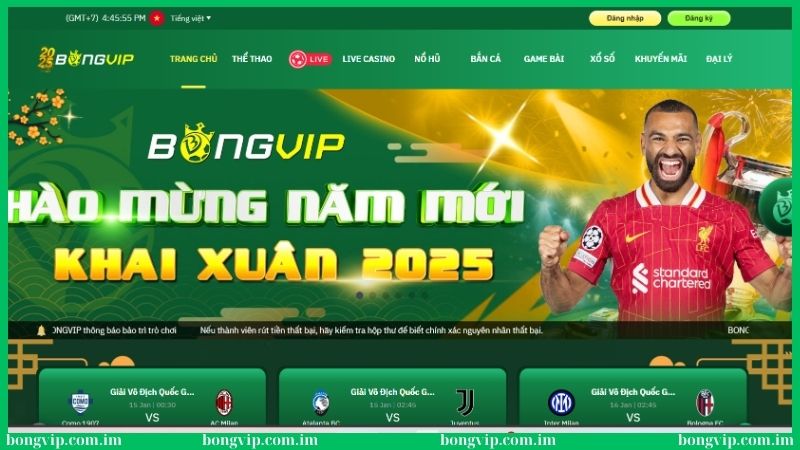 Bongvip Egoloss - Link Nhà Cái Bóng VIP Online Thưởng 88K 35 Bongvip là thiên đường giải trí dẫn đầu xu hướng