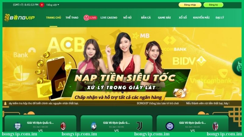 Giới thiệu Bongvip - Thương hiệu cá cược online hot nhất! 1 Giới thiệu thương hiệu Bongvip đang cực hot hiện nay