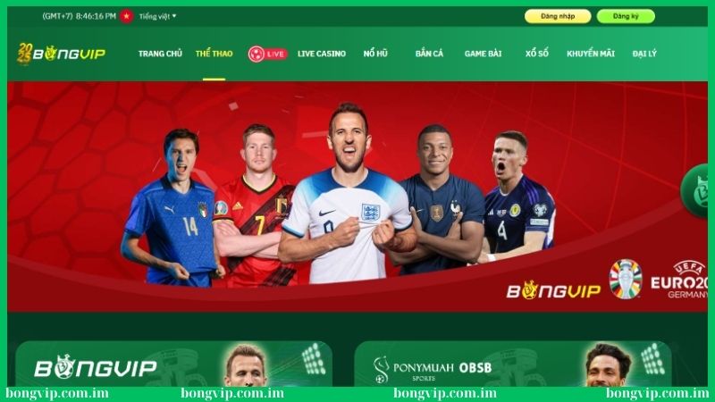 Giới thiệu Bongvip - Thương hiệu cá cược online hot nhất! 2 Cá cược thể thao cuốn hút tại Bongvip