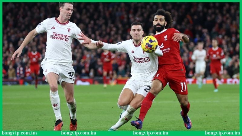 Soi kèo Liverpool Bongvip - Tuyệt chiêu dự đoán siêu chuẩn 2 Hướng dẫn cách thức soi kèo Liverpool tại Bongvip