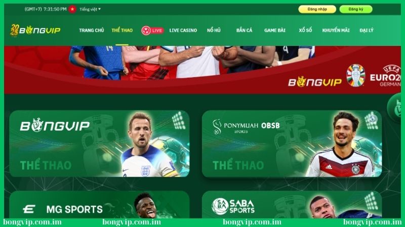 Soi kèo bóng đá Đức tại Bongvip rất uy tín