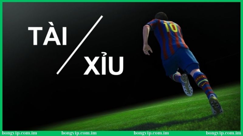 Soi kèo tài xỉu - Từ A đến Z về kiến thức tân thủ nên biết 1 Soi kèo tài xỉu từ A đến Z dành cho các tân binh