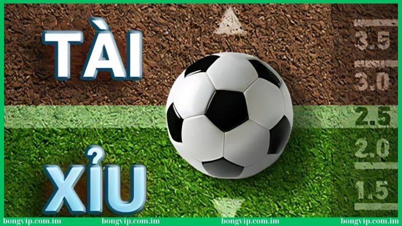 Soi kèo tài xỉu - Từ A đến Z về kiến thức tân thủ nên biết 2 Bongvip có rất nhiều hình thức soi kèo tài xỉu