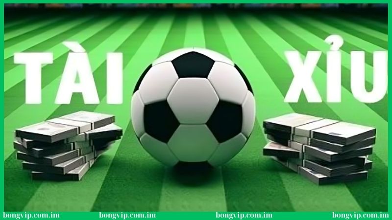 Soi kèo tài xỉu - Từ A đến Z về kiến thức tân thủ nên biết 4 Cách soi kèo tài xỉu đạt hiệu quả cao tại Bongvip