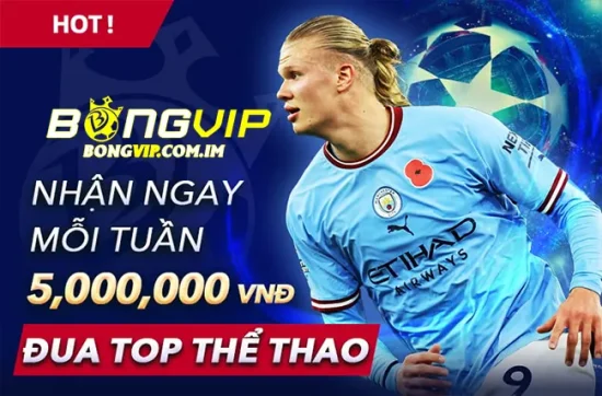 Bongvip Egoloss - Link Nhà Cái Bóng VIP Online Thưởng 88K 32 km1