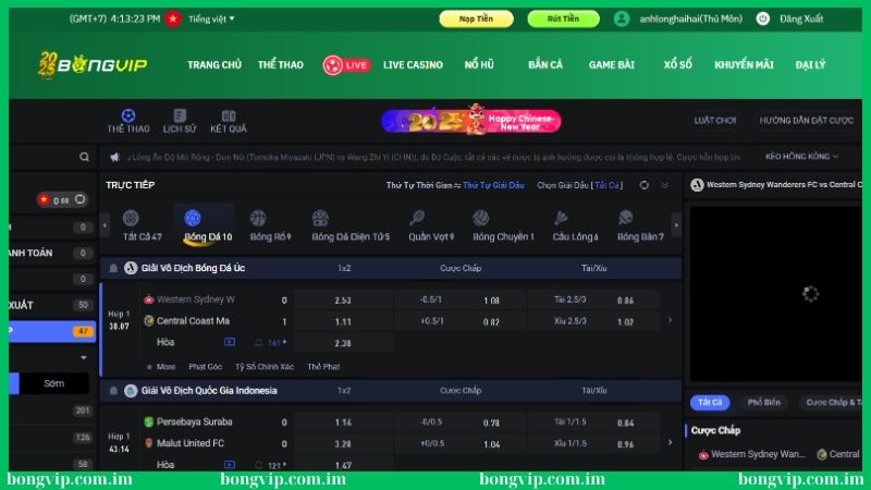 Soi kèo bóng đá Anh qua phân tích thông số 